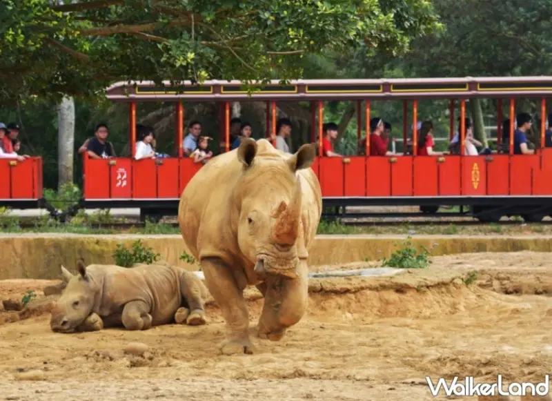 回憶殺來襲「六福村樂齡好朋友」專案開跑，60歲以上長者相約重溫青春記憶一個人350元玩一天。