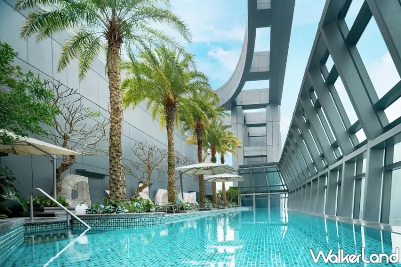 暑假親子旅遊必住！新板希爾頓酒店 泰迪熊主題住房，再加碼送TWG茶香軟糖、海洋風泡澡球。