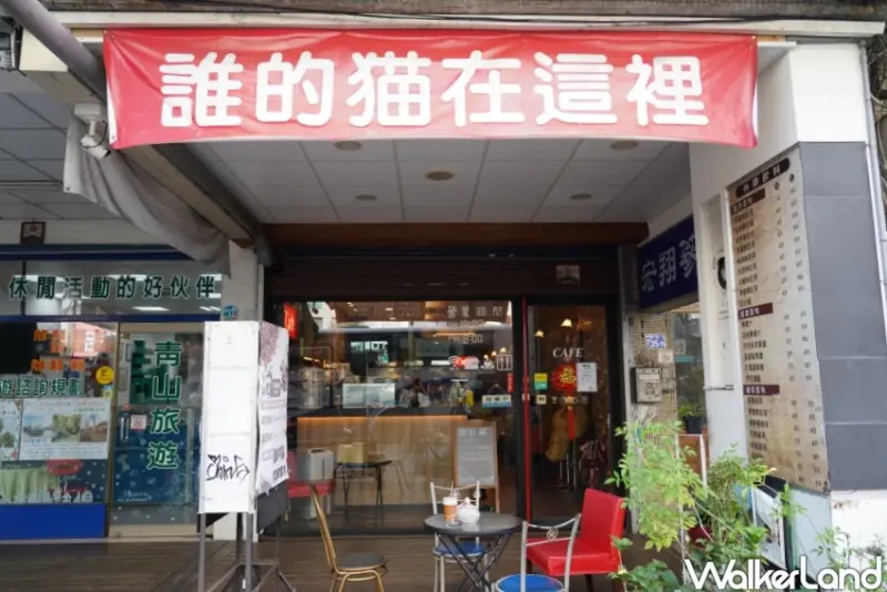 台中火車站貓咪咖啡廳！誰的貓咖啡Say Meow 鄰近日曜天地，兩隻店貓陪你喝咖啡。