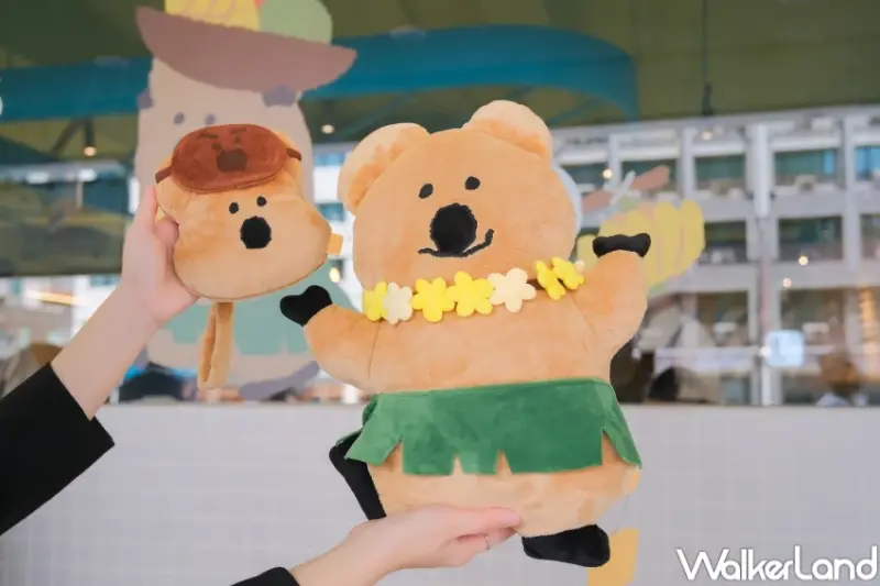 DINOTAENG爭鮮聯名！矮袋鼠DINOTAENG周邊小物8款，爭鮮8間DINOTAENG特色店衝打卡。