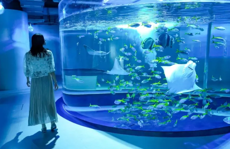 神戶átoa沉浸式藝術水族館絢爛煙火演出，還有可愛水獺造型甜點子組合。