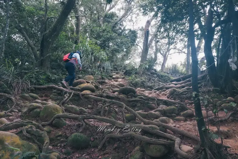新竹芎林一日遊！飛鳳山步道健行路線，小森之歌夢幻愜意野餐。 / 部落客「貪吃猴」提供