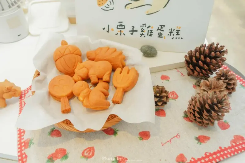 暑假兒童免費入園！新竹動物園周邊景點一日遊，親子出遊好吃又好玩 / 部落客「又要飛去哪！？」 提供