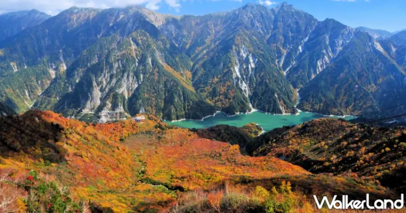 立山黑部之美，如同踏入層層紅葉與白雪交織的高山畫卷，映襯壯闊的日本阿爾卑斯山脈，壯麗而靜謐。 / 上聯國際展覽 提供