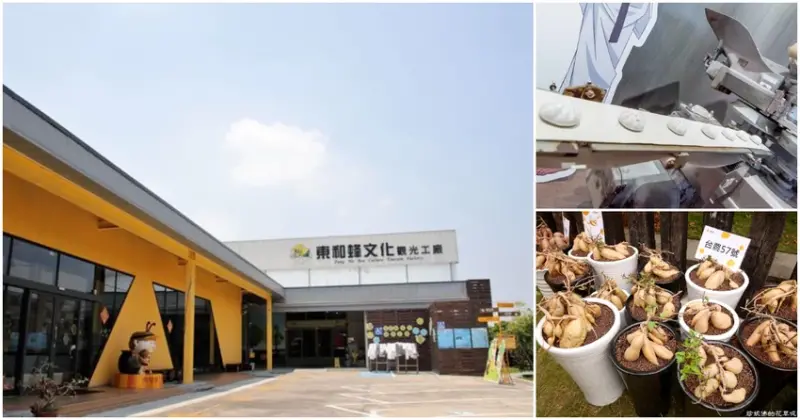 台南必去5大觀光工廠景點！把握暑假尾聲，一次收藏起來。