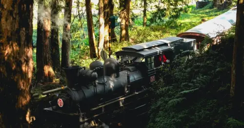 阿里山賓館10月連假限定！「鐵道秘境，山村小旅行」入住百年賓館，體驗奮起湖小火車、二萬坪雲海與在地手作DIY。