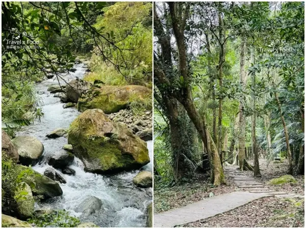 苗栗南庄一日美食、旅遊全攻略！來一趟說走就走的旅行就這樣玩。