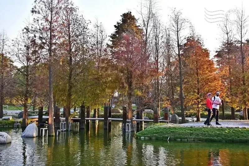 雲林虎尾一日遊！沉香森林、眷村園區、人氣小吃，不只是糖廠可以玩。