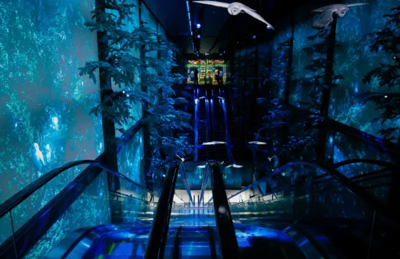 哈利波特日本首間旗艦店內裝首度公開，「禁忌森林」主題綠意空間和鷹馬互動，還有魔法購物體驗全揭露。