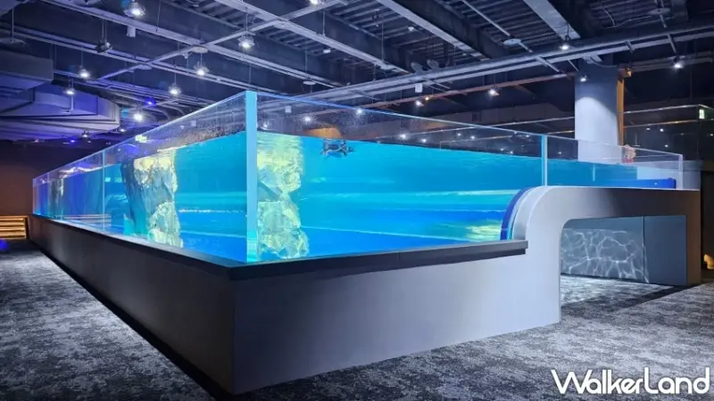 台中海洋館試營運！8大展區參觀路線公開，2小時沉浸式體驗海洋世界。