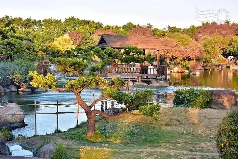 雲林虎尾一日遊！沉香森林、眷村園區、人氣小吃，不只是糖廠可以玩。