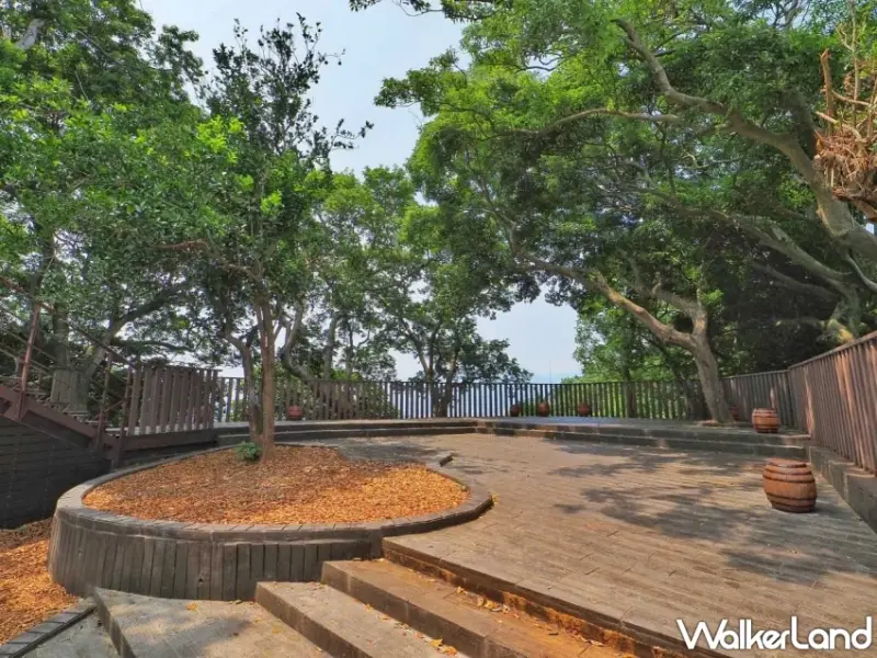 圓山「森林方舟」俯瞰台北夜景！2025大稻埕夏日節煙火壓軸最終場，無私角秘境大公開。