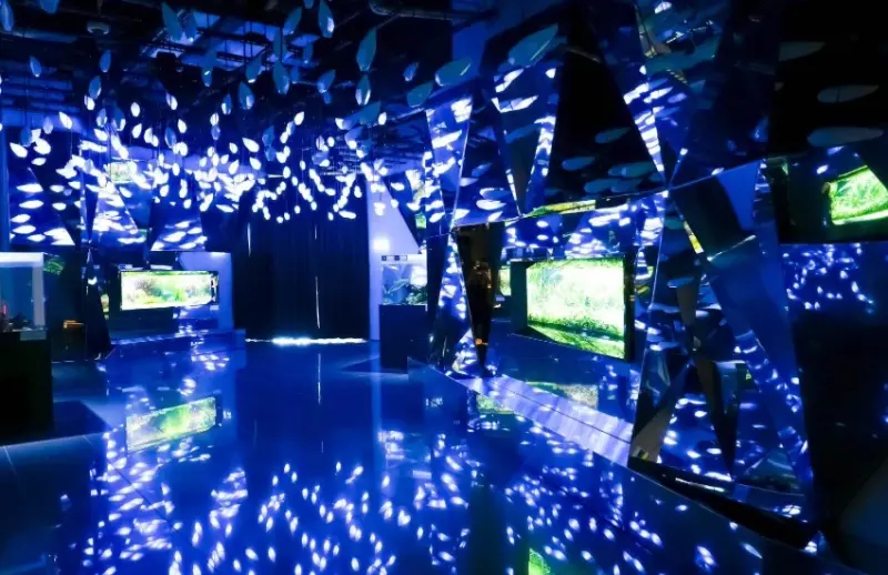 神戶átoa沉浸式藝術水族館絢爛煙火演出，還有可愛水獺造型甜點子組合。