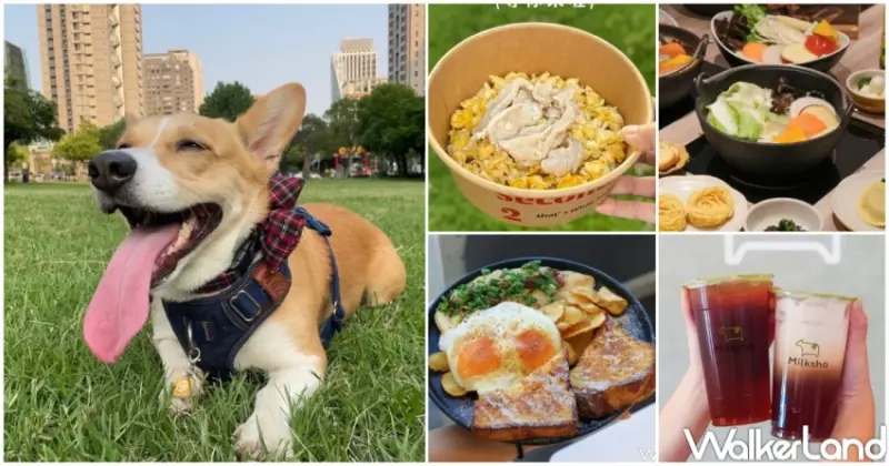 826國際狗狗日！4間美食國際狗狗日優惠，迷客夏帶狗狗折10元，貳樓免費寵物餐。