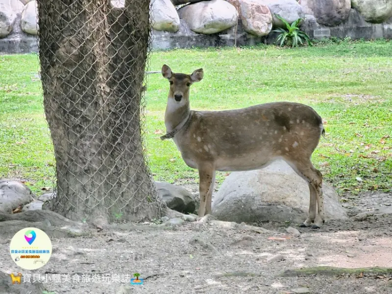 彰化鹿港小鎮之旅，走逛老街巷弄、看古蹟建築，嚐小吃也喝咖啡超滿足。 /  由部落客「寶貝小飄」提供