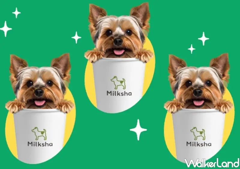 826國際狗狗日！4間美食國際狗狗日優惠，迷客夏帶狗狗折10元，貳樓免費寵物餐。