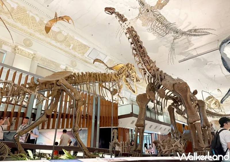 台北室內景點30元玩2館！臺灣博物館恐龍化石超逼真，雨天遛小孩CP值超高。