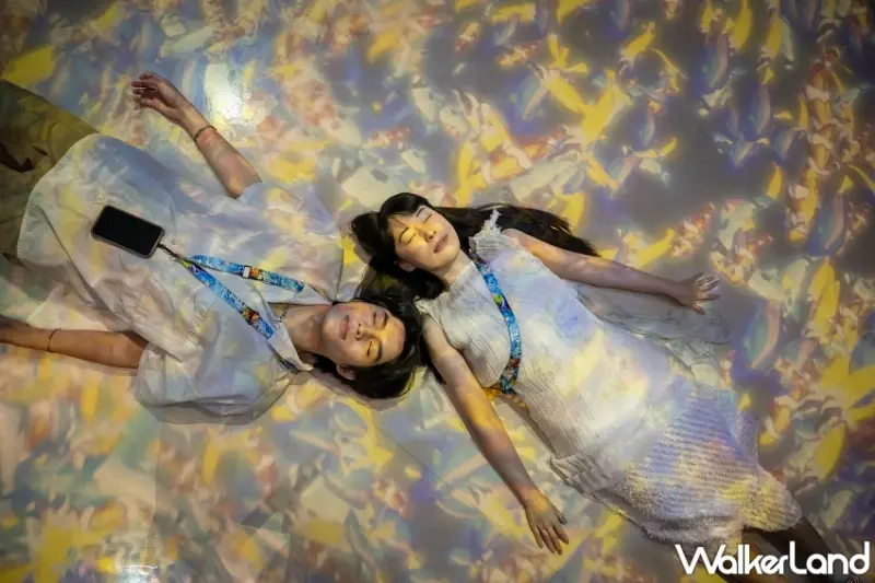 Xpark5週年門票下殺5折！全新「潛浸海洋」光影展搶先看，再加碼桃園市民卡最強攻略。