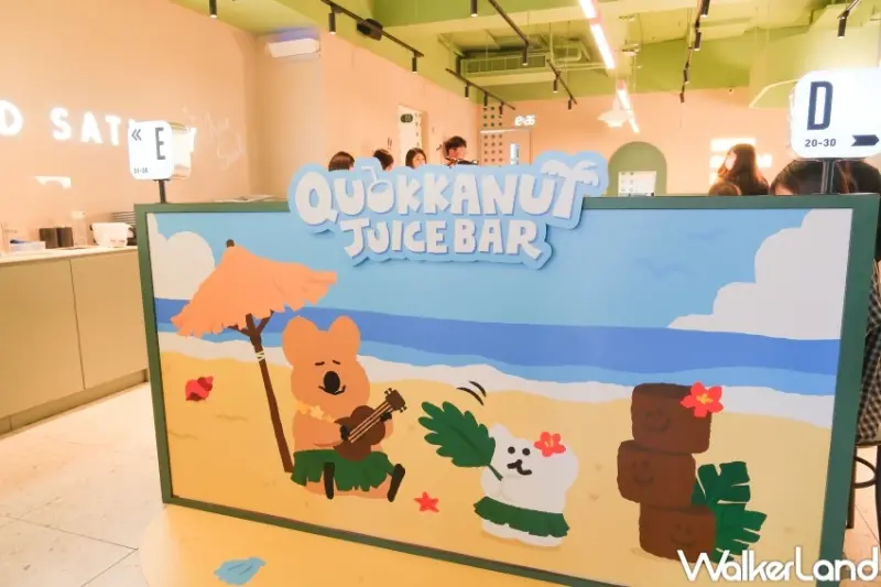 DINOTAENG爭鮮聯名！矮袋鼠DINOTAENG周邊小物8款，爭鮮8間DINOTAENG特色店衝打卡。