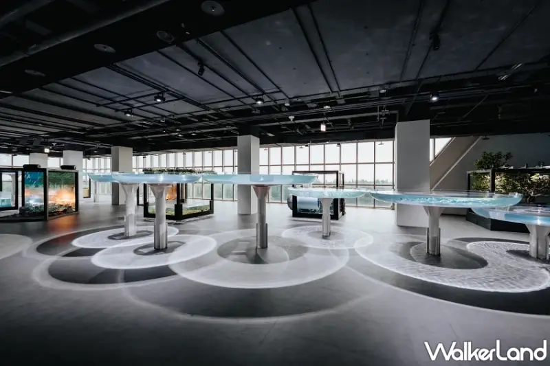 台中海洋館試營運攻略！線上預約制分流參觀，全票種8折優惠與飲品第二杯半價資訊總整理。