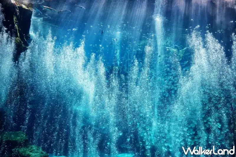 桃園高鐵周邊親子遊！Xpark、巧虎夢想樂園、台灣高鐵探索館，不開車到室內景點玩透透。