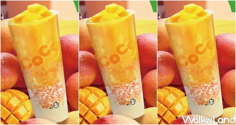 CoCo買一送一！一日限定CoCo楊枝甘露買一送一，芒果控飲料先約喝。