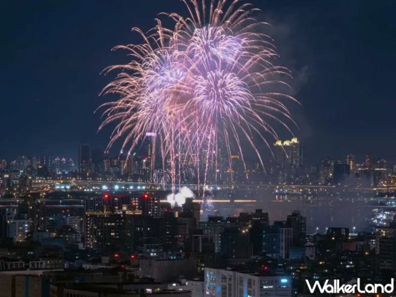 圓山「森林方舟」俯瞰台北夜景！2025大稻埕夏日節煙火壓軸最終場，無私角秘境大公開。