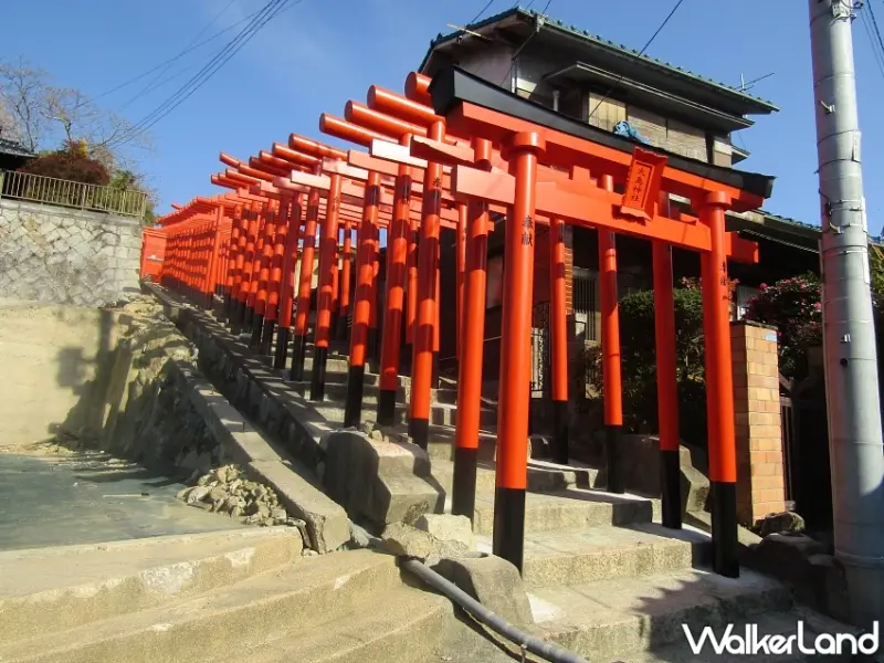 廣島不只嚴島神社！朝聖純白未來心之丘、漫遊御手洗古街與宮島最新藝文咖啡廳一次收藏。