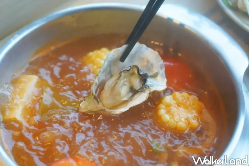 蔬食者台中火鍋首選！上澄鍋物 超過30種野菜吃到飽、龍虎斑海陸饗宴霸氣登場。