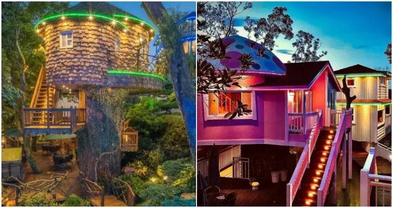 苗栗南庄一日美食、旅遊全攻略！來一趟說走就走的旅行就這樣玩。