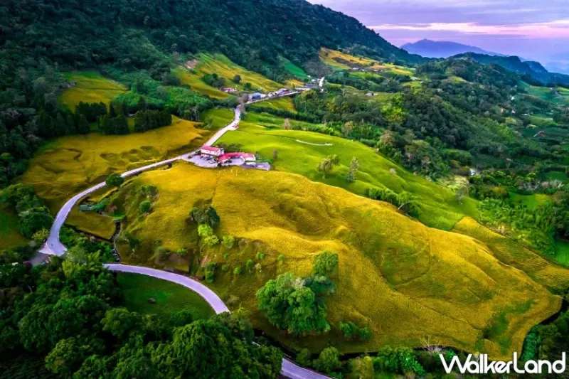 2025花蓮金針花季開跑！六十石山、赤科山看金色花海，玉里、富里順遊。圖為赤科山。 / 花蓮縣政府 提供、WalkerLand窩客島整理
