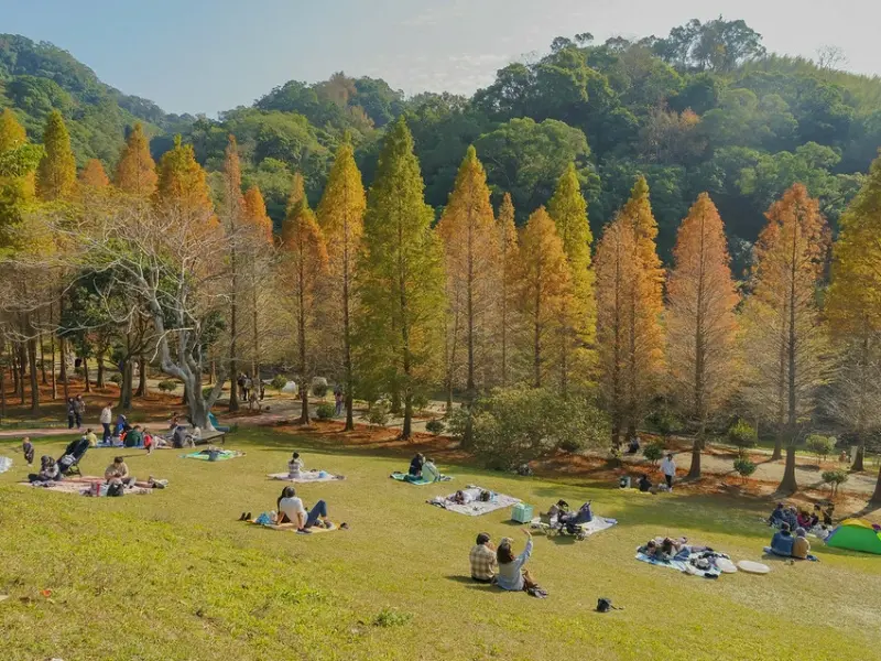 新竹芎林一日遊！飛鳳山步道健行路線，小森之歌夢幻愜意野餐。 / 部落客「​​優尼太太」提供