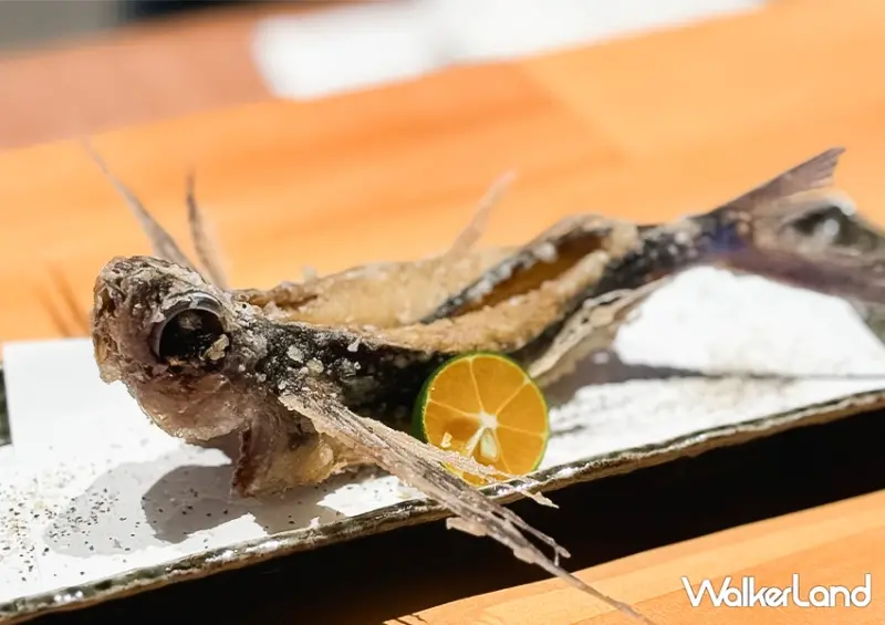 飛魚拉麵台灣也有！宜蘭蘇澳美食 飛屋拉麵 強勢回歸、沒訂位吃不到，菜單飛魚天婦羅必吃。