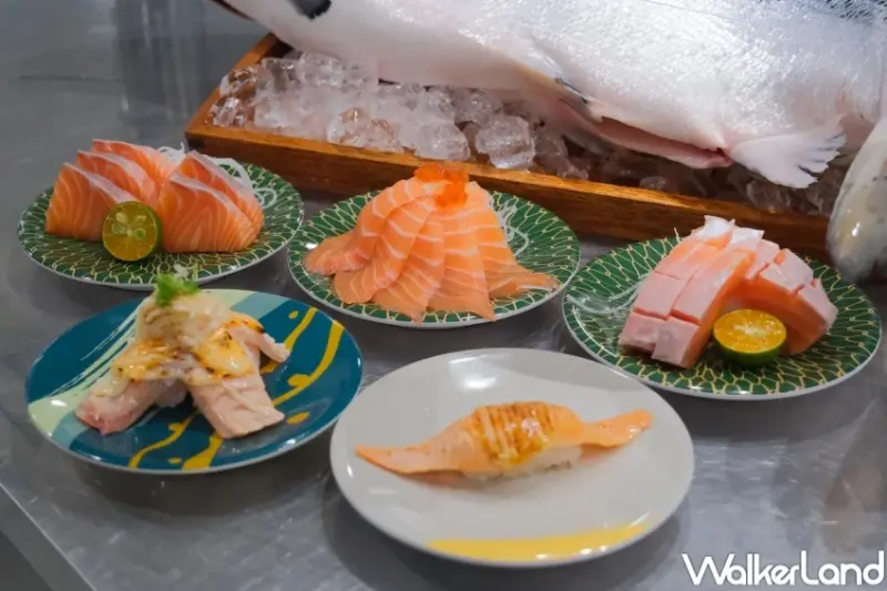 爭鮮買一送一！爭鮮火山鮭魚盛新品開賣，買一盤鮭魚送一盤30元免費吃。