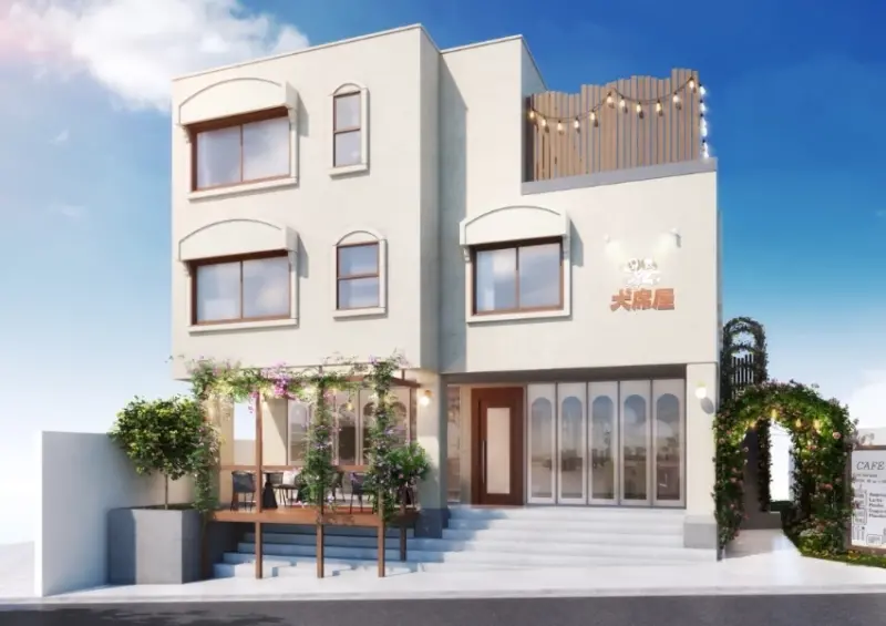 東京狗狗咖啡廳！犬席屋 18隻大狗狗、薩摩耶、大白熊犬都有，插旗東京表參道。