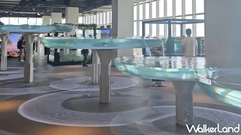 台中海洋館試營運！8大展區參觀路線公開，2小時沉浸式體驗海洋世界。