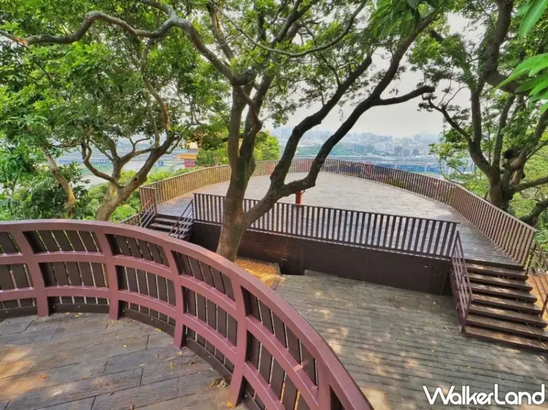 圓山「森林方舟」俯瞰台北夜景！2025大稻埕夏日節煙火壓軸最終場，無私角秘境大公開。