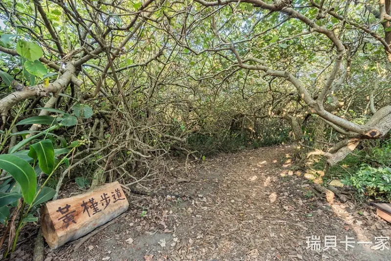 桃園珍珠海岸國際音樂節登場！演出卡司、交通資訊一次看，順遊桃園海線景點超好玩。 / 部落客「瑞貝卡一家」提供