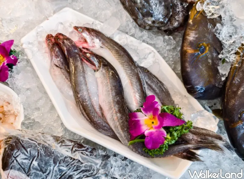 東港海鮮推薦！珍珍海鮮 活體海鮮現點現煮、免費包廂與停車場，內行人都吃這家。