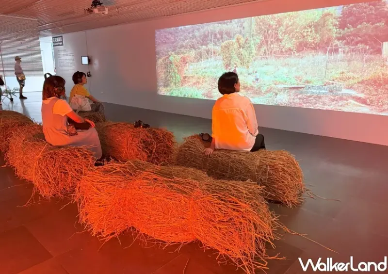 台北新展覽免費入場！北師美術館 亂流展必拍亮點，美術館變機場航廈打卡點。