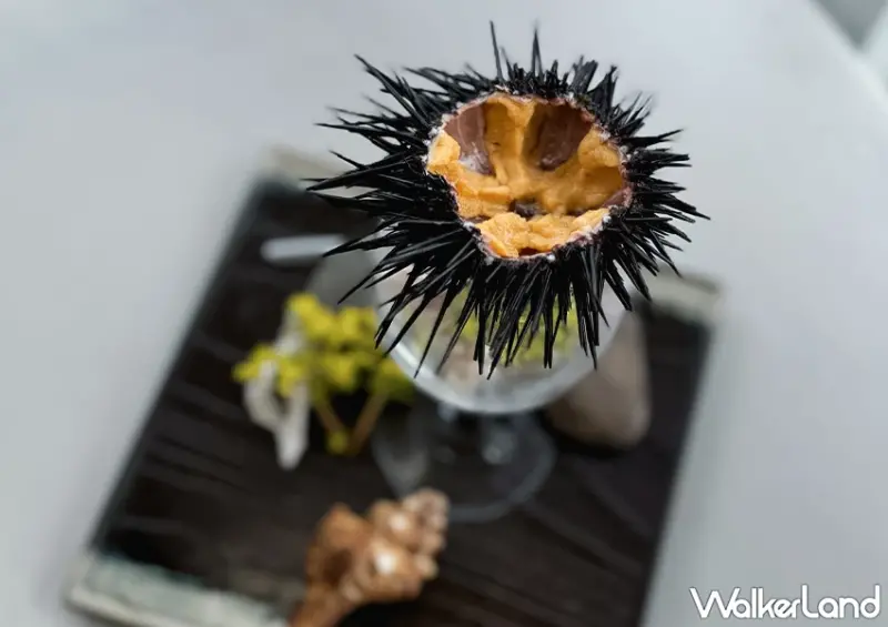 北海岸餐廳推薦！懸崖上的餐廳 270度海景、高CP值海鮮餐廳，位置真的在懸崖上。