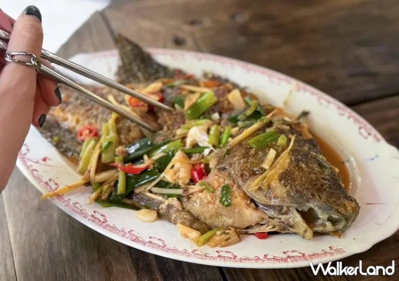 金山隱藏版美食餐廳！三重橋小吃部 山泉鱸魚、自家放山雞必點，復古老厝超有氛圍感。