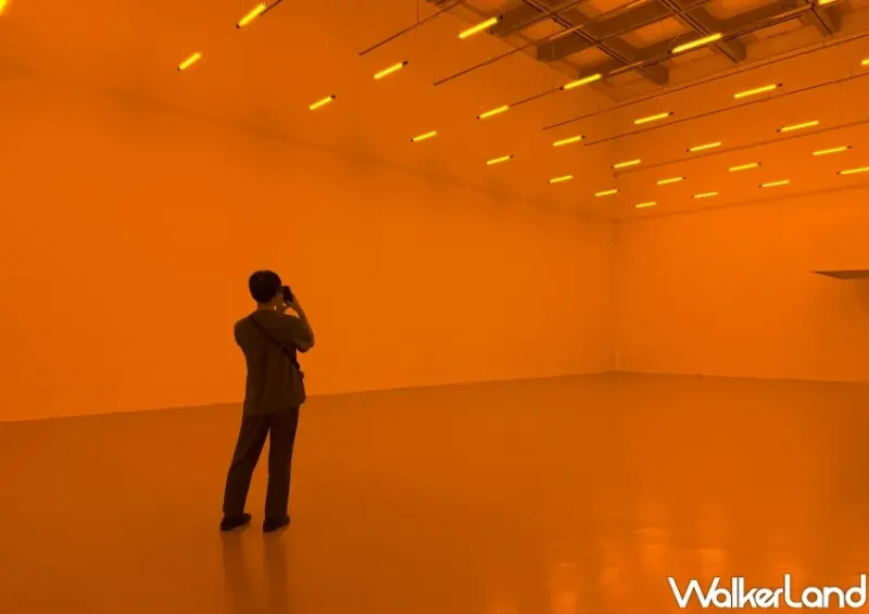 逛北美館展覽玩積木！你的好奇旅程巡迴展首次來台，隱藏版免費逛方法跟上。