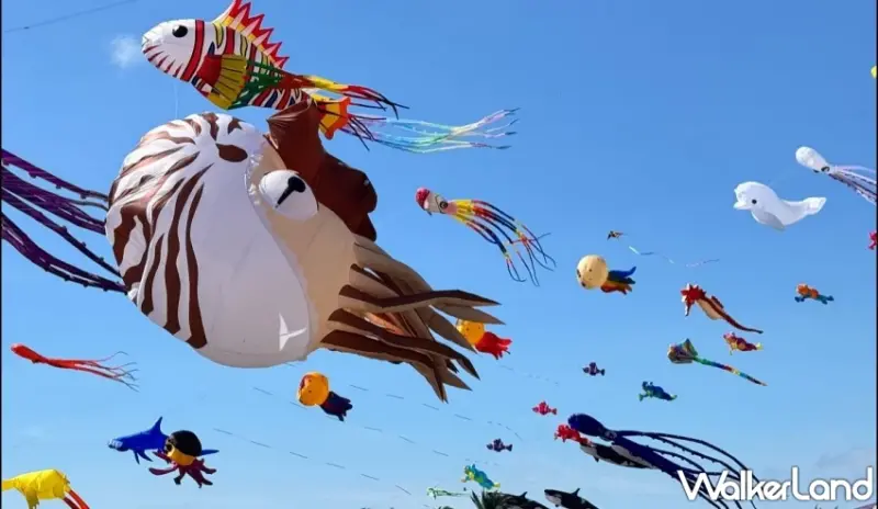 北海岸「2025石門國際風箏節」懶人包！集章闖關兌換1500份限定好禮、親子馬戲團與富基漁港美食優惠等你來體驗。