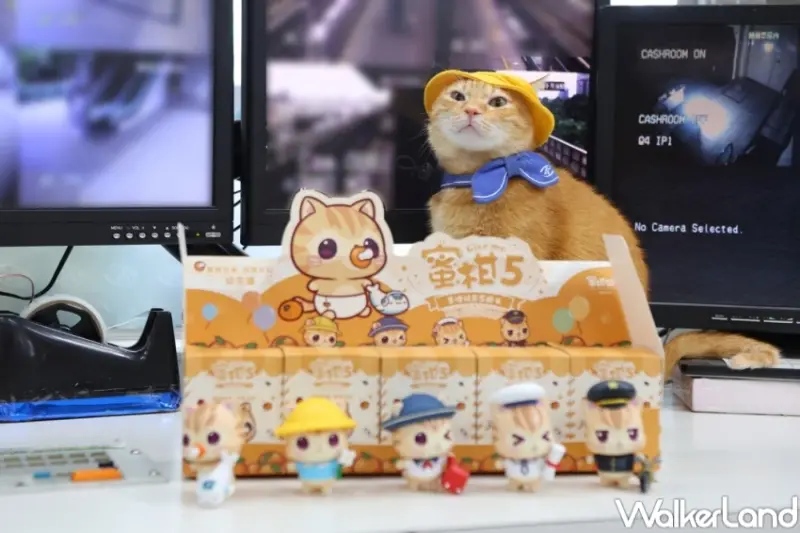 蜜柑站長生乳捲！高雄捷運貓咪站長蜜柑造型生乳捲，亞尼克YTM高雄捷運開賣。