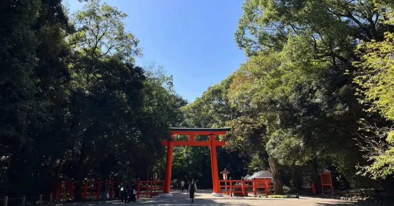 屬於京都人的降溫美學，距離河原町15分鐘車程，走訪京都上古森林「糺之森」，連結下鴨神社與河合神社的參拜散策。
