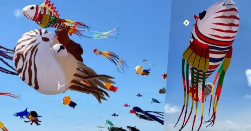 北海岸「2025石門國際風箏節」懶人包！集章闖關兌換1500份限定好禮、親子馬戲團與富基漁港美食優惠等你來體驗。