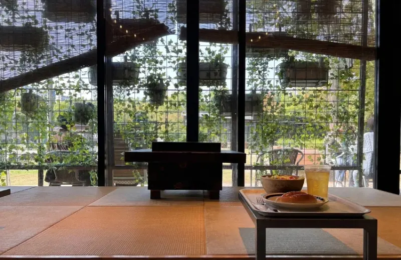 內行人遊京阪！早京都晚大阪，45分鐘穿梭京都古韻與大阪夜色，京阪電車三條雙城散策提案。