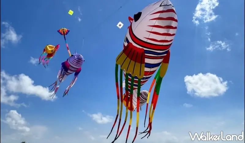 北海岸「2025石門國際風箏節」懶人包！集章闖關兌換1500份限定好禮、親子馬戲團與富基漁港美食優惠等你來體驗。