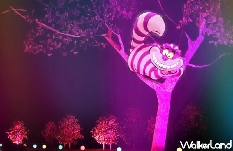 2025嘉義市光織影舞攜手迪士尼「愛麗絲夢遊仙境」！打造9米高巨型愛麗絲 30米沉浸式隧道。